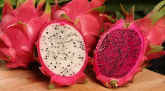 Pitahaya Roja